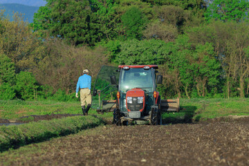 トラクターでの代掻き作業（田掻き）　農業　水田　稲　農家
