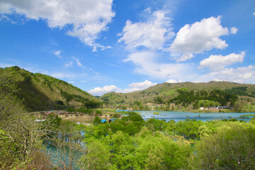 白川湖の水没林（山形県・飯豊町）