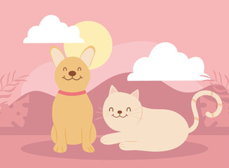 dog and cat