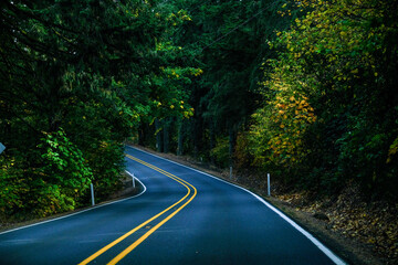 Countryside Road autumn season  in Washington State Park, USA