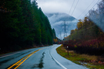 Countryside Road autumn season  in Washington State Park, USA