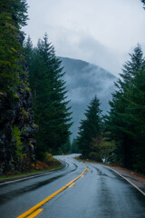 Fototapeta na wymiar Countryside Road autumn season in Washington State Park, USA