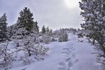 Little Black Mountain Peak hiking trail views by Salt Lake City, in winter snowscape via Bonneville Shoreline Trail, Wasatch Front Rocky Mountains, Utah. United States.
