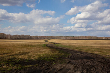 Ural spring landscape. Fields, birch and pine groves in early spring in the Urals, Russia.