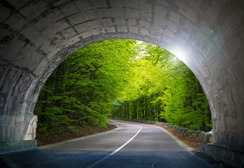 Road passing through the forest seen at the exit of the road tunnel. Raw spring green