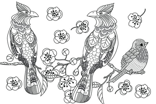 6,607 BEST Bird And Flower Coloring Pages IMAGES, STOCK PHOTOS