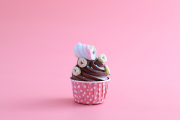 Chocolate cupcake isolated in pink background