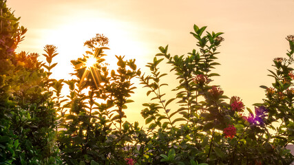 A blurry abstract view of a walkway or a treadmill on the condo and a small garden surrounded, allowing guests to exercise or view the garden in the evening