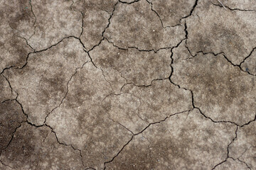 Fototapeta premium texture of the ground in the fields Ground crack drought background image