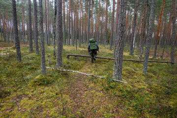 A man with a backpack walks through the green forest. High quality photo