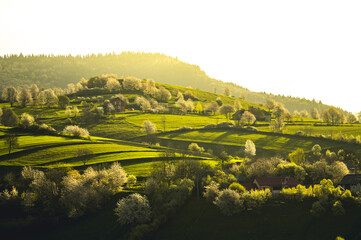 Spring landscape in Slovakia. Polana region, Hrinova. Green spring rural hills landscape, fields, flowering trees, organic farming © Zedspider