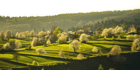 Spring landscape in Slovakia. Polana region, Hrinova. Green spring rural hills landscape, fields, flowering trees, organic farming © Zedspider