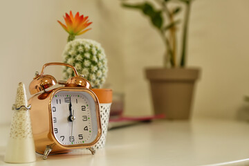 Alarm clock and cactus on table in room