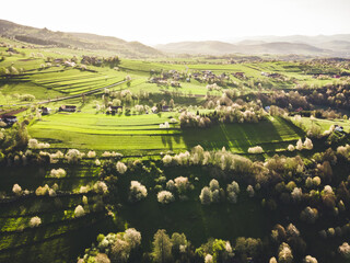 Spring landscape in Slovakia. Polana region, Hrinova. Green spring rural hills landscape, fields, flowering trees, organic farming © Zedspider
