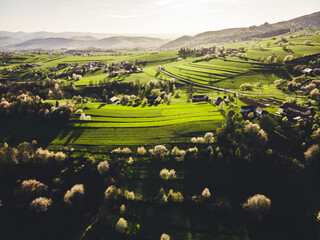 Spring landscape in Slovakia. Polana region, Hrinova. Green spring rural hills landscape, fields, flowering trees, organic farming © Zedspider