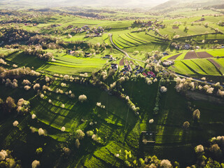 Spring landscape in Slovakia. Polana region, Hrinova. Green spring rural hills landscape, fields, flowering trees, organic farming © Zedspider