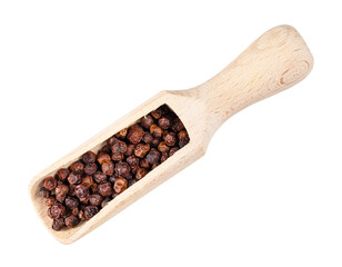 red Kampot pepper in wood scoop cutout