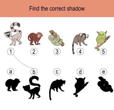 Find the correct shadow puzzle with monkeys living in tropics. Illustration can be used as logic game for children.