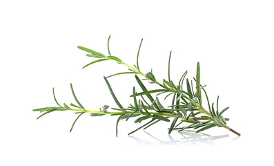 rosemary  leaves isolated on white background