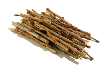 cut currant twigs close-up on a white background