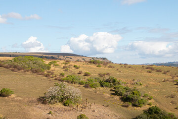 View of South African Bushveld into the Valley Below
