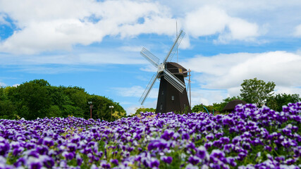 鶴見緑地　風車の丘