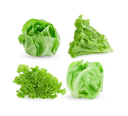 lettuce isolated on white background.