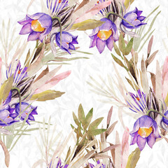 Wildflowers and herbs.Image on white and colored background.