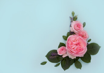 Layout with  pink rose flowers on light green background, empty space for text.Mock up for Wedding, Mother's day, Women's day, 8 march, Valentine's day, Birthday.