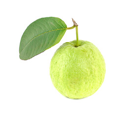 Guava fruit with leaf isolated on white background