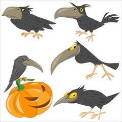 Black crows with different emotions on a white background. Halloween characters