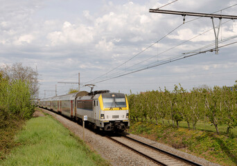 Fototapeta premium Train in the countryside. Walking towards. Front side. Train in Belgium