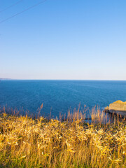 golden wheat field and blue sea