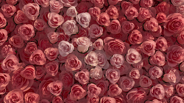 Romantic, Pink Flower Blooms arranged in the shape of a wall. Colorful, Vibrant, Roses composed to create a Beautiful floral background. 3D Render