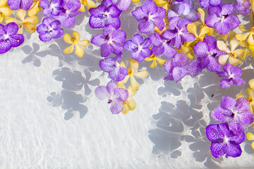 orchid flower on  water surface