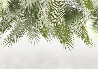 Palm leaves, palm branches, abstract drawing, tropical leaves. Photo wallpapers for walls. Decorative wall. Wallpaper for the room. - 433379966
