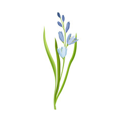 Fototapeta na wymiar Tall Stem or Stalk with Violet Floret and Green Leaf Blade Vector Illustration