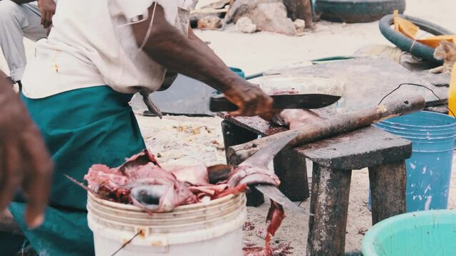 Local African fishermen cut a caught fish with dirty knife on spontaneous fish market by Ocean Beach, Zanzibar, Nungwi. Sell Fresh Catch to villagers. Old seller man carves up seafish. Tanzania Africa
