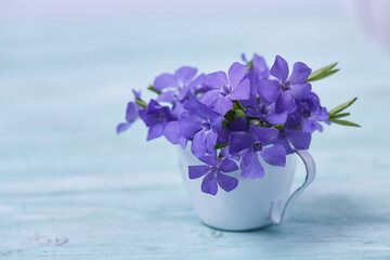 blue periwinkles in a miniature metallic cup on a turquoise surface. Spring flower bouquet.