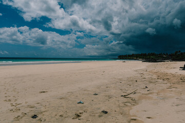 Plage sur une île déserte dans l'océan indien