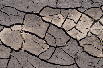 Close-up of dried, cracked dirt. Abstract background for wallpaper.