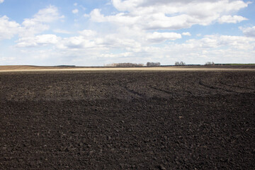Spring fields in the Ural province. Landscape with fields, groves and a track along which truckers...