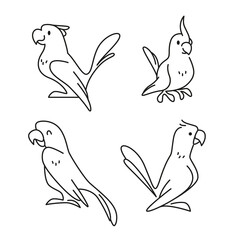 Collection of cute funny exotic macaw and ara parrots icons isolated on white background. Vector flat outline hand drawn illustration. 