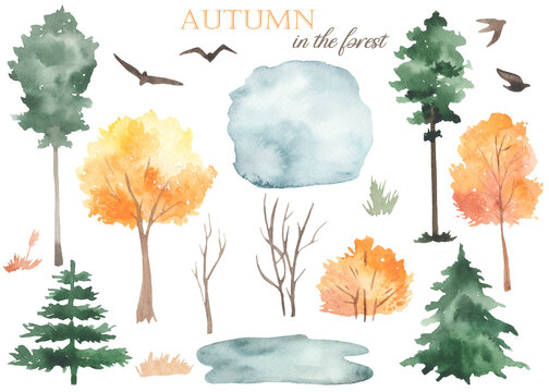 Watercolor set with autumn trees, bushes, pines, fir trees, puddle, grass, migratory birds