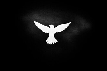 White Dove silhouette on dark background.