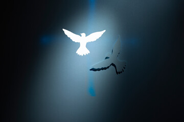 Two Doves silhouettes over a blue cross on dark background.