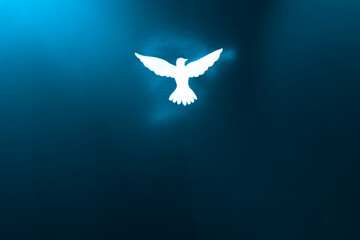 White dove silhouette in blue light. - obrazy, fototapety, plakaty