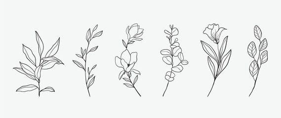 Minimal botanical hand drawing design for logo and wedding invitation. Floral line art.  Flower and leaves design collection for bouquets decoration, card and packaging background. © TWINS DESIGN STUDIO
