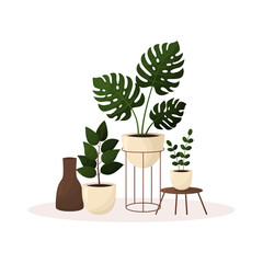 Potted houseplants. Home garden, gardening, greenhouse. Isolated vector illustration for postcard, banner, invitation, cover.