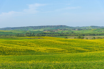 Fototapeta na wymiar Amazing spring view of medieval small town with cypress trees and colorful spring flowers in Tuscany, Italy. Typical Tuscany scenic landscape.